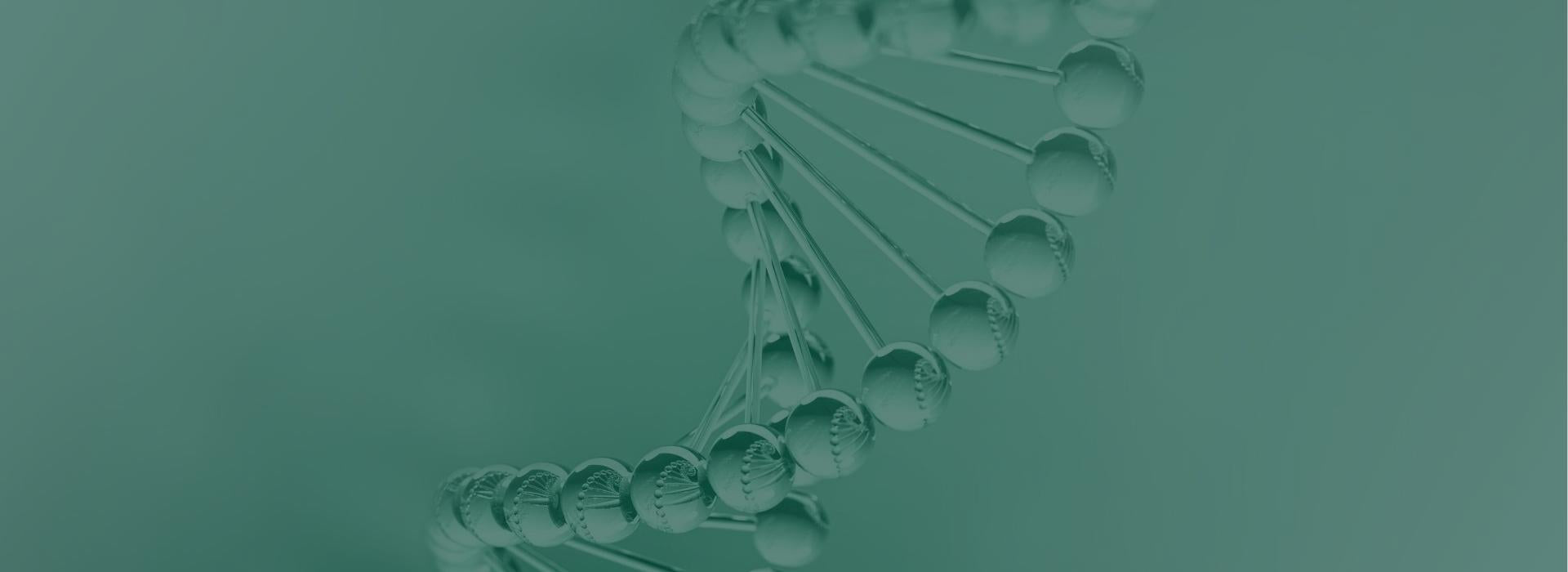 slider image slider_item_X6RH8q